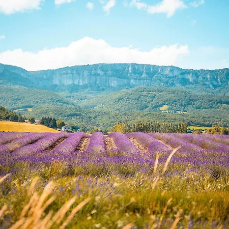 Prázdninový dům Grande En Provence